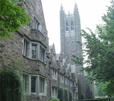 9 điều cần biết khi du học New Zealand