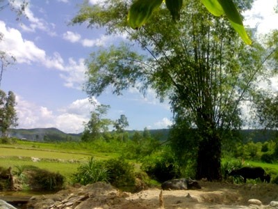 Bài 12. Làng (Tiết 2)