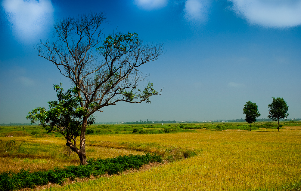 Bài 4. Làng (Phần 1)