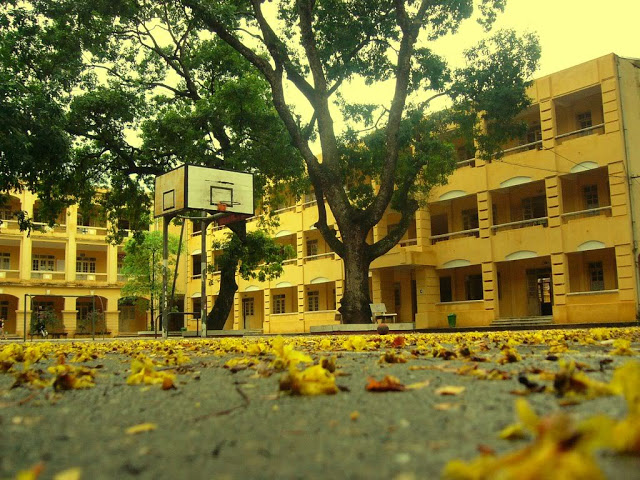 Kể sáng tạo chuyện được chứng kiến, tham gia (phần một)