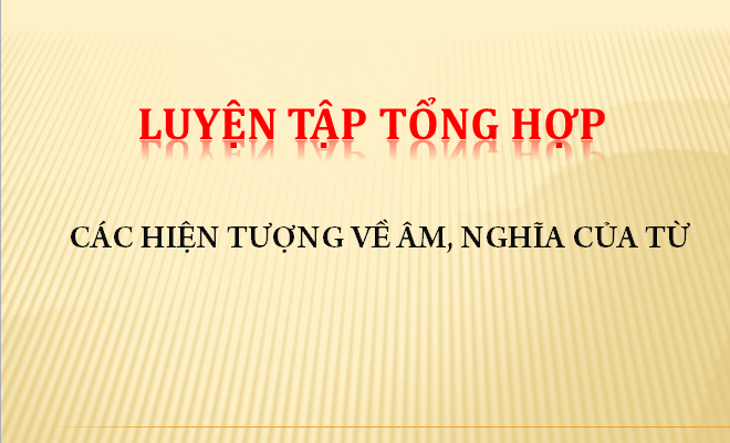 Luyện tập tổng hợp các hiện tượng về âm, nghĩa của từ