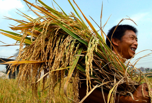 Vấn đề lương thực, thực phẩm