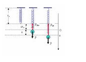 Lí thuyết về dao động điều hòa và con lắc lò xo
