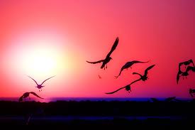 Tống biệt hành (phần 2)