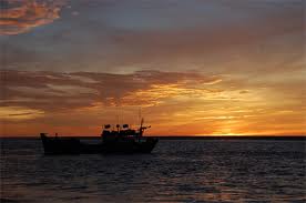 Đoàn thuyền đánh cá (Phần 2)