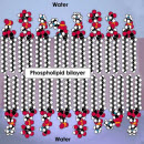 Bài 10: Hiệu suất phản ứng - Hằng số cân bằng (Kc) - Chỉ số quan trọng của chất béo 