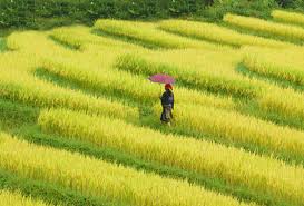 Tiếng hát con tàu (Phần 1)