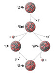 Bài 4. Bài tập phóng xạ