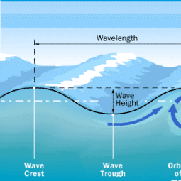Bài 1. Mở đầu về sóng cơ, phương trình sóng cơ