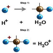 Bài 13. Phương pháp sử dụng phương trình ion thu gọn