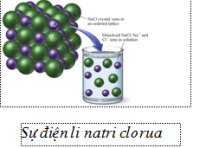 Bài 1. Sự điện li - Độ điện li 