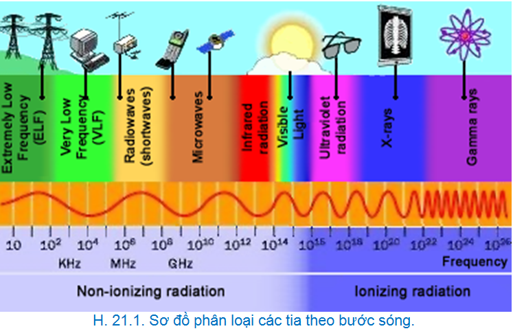 Bài 2. Tạo giống bằng phương pháp gây đột biến 