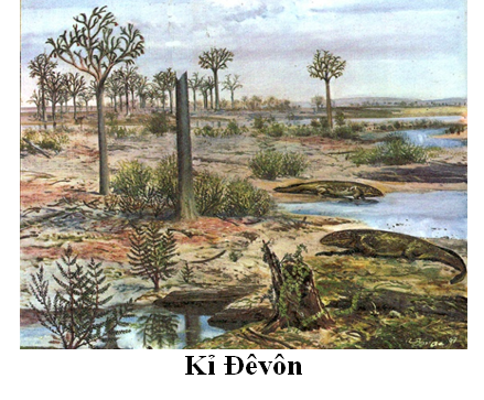 Bài 2. Sự phát triển của sinh giới qua các đại địa chất 