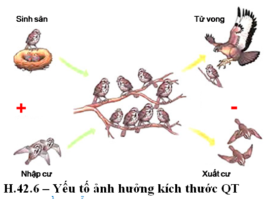 Bài 4. Đặc trưng cơ bản của quần thể