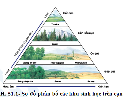 Bài 13. Sinh quyển