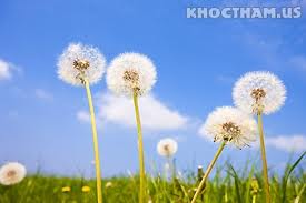  Bài 10. Lời nói gió bay và lời nói đọi máu 