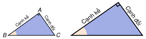 Bài 3: Một số hệ thức về cạnh và góc trong tam giác vuông.