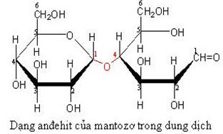 Bài 2. Các dạng bài tập về cacbohidrat (Phần 1)