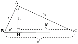 Bài 2. Tỉ số lượng giác của góc nhọn