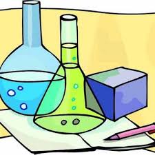 Bài 7. Trọng lực - Đơn vị lực