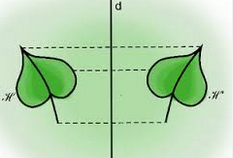 Bài 2. Phép đối xứng trục