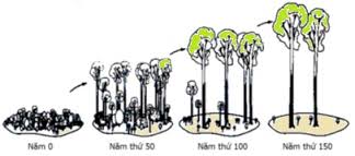 Bài 10. Diễn thế sinh thái khóa luyện thi THPT quốc gia Pen-C thầy Nguyễn Thành Công