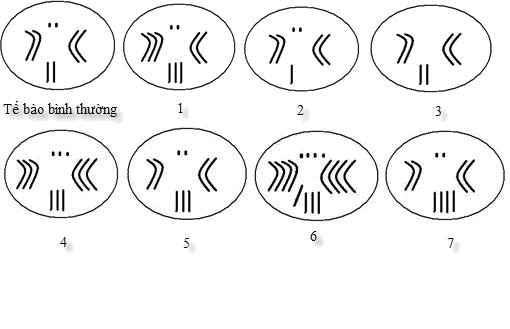 Bài 19. Đột biến cấu trúc NST khóa luyện thi THPT quốc gia Pen-C thầy Nguyễn Thành Công