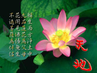 Bài 04. Cảnh ngày hè