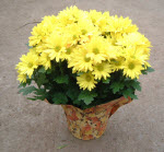 Bài 4: Cảm xúc mùa thu