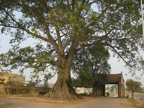 Bài giảng luyện đề số 09