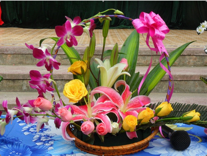 Trần Nguyên Khang