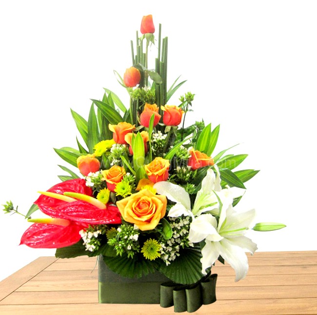 nguyễn thị huyền trang