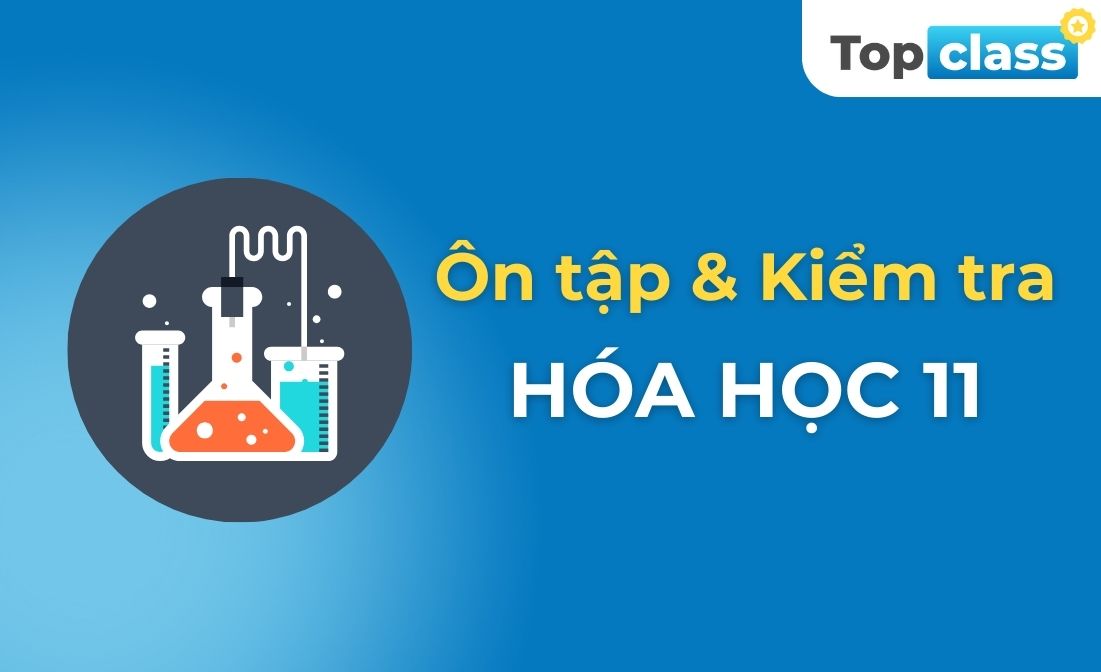 Ôn tập và Kiểm tra Hóa học 11