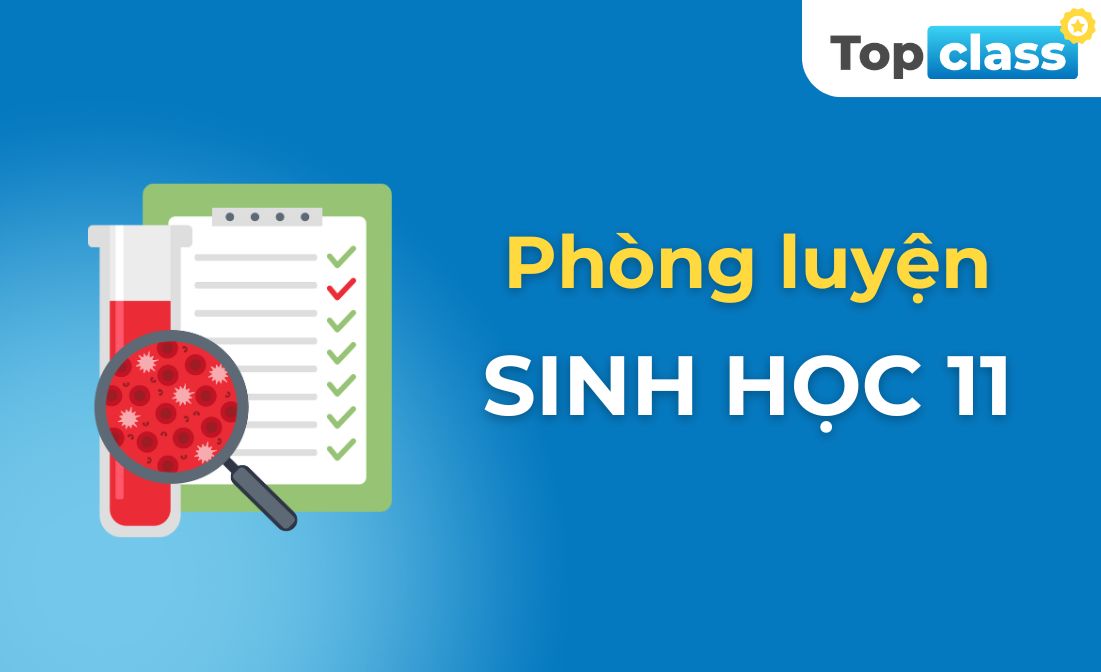 Phòng luyện Sinh học 11