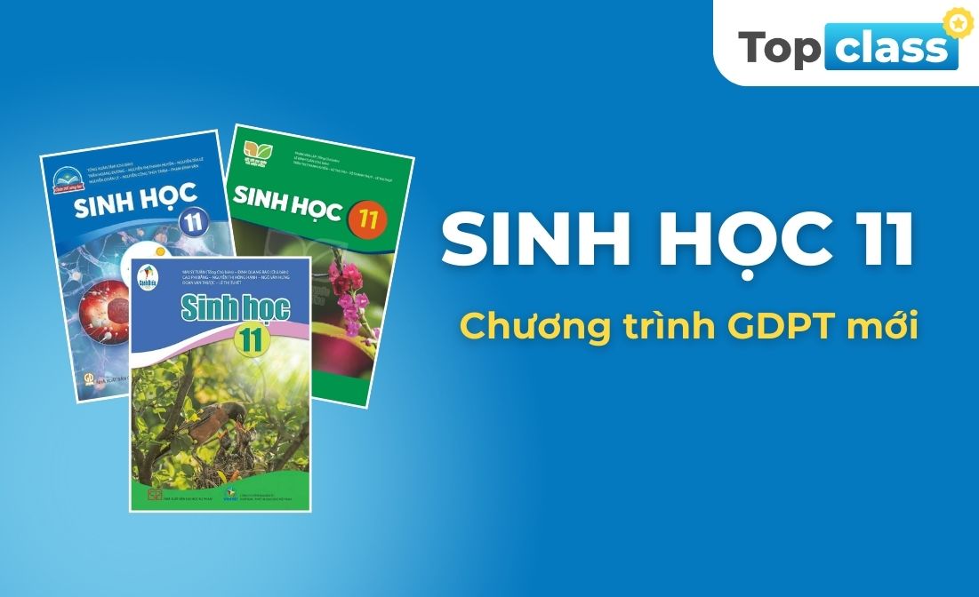 Sinh học 11