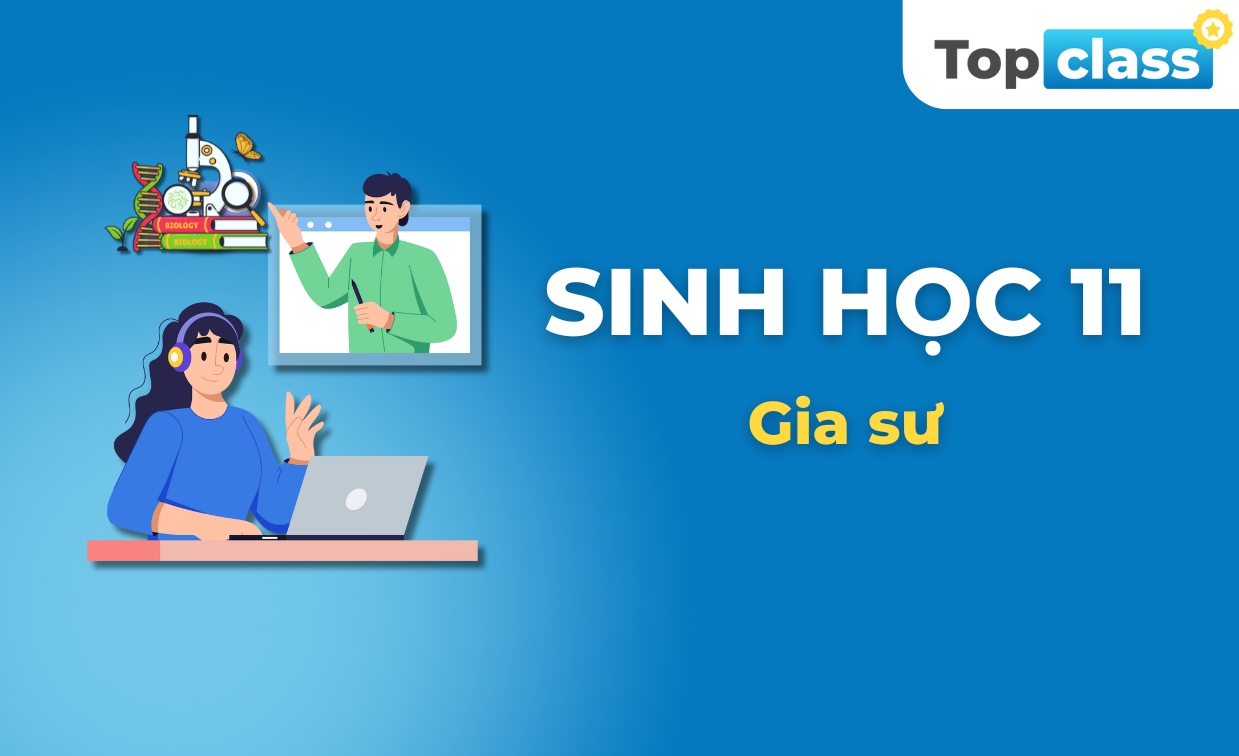 Sinh học 11 - Gia sư