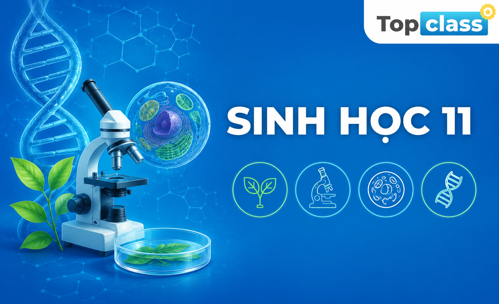Sinh học 11 - Học chủ động