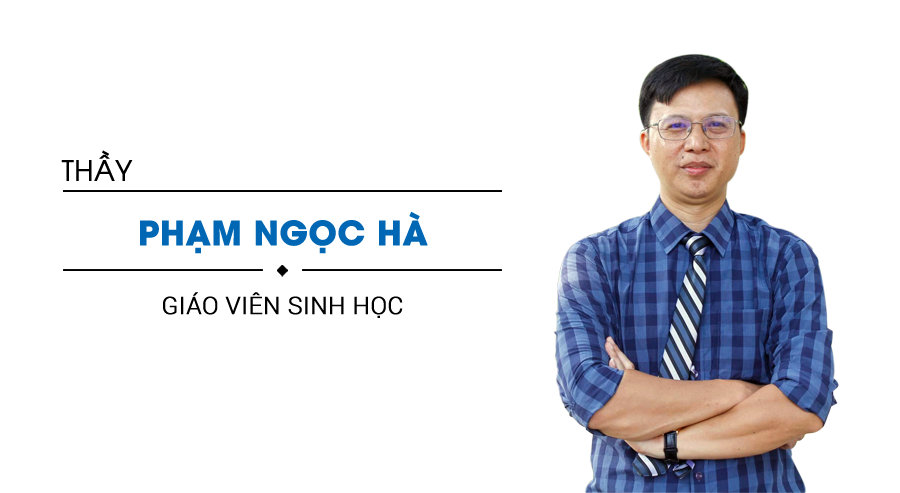 Phạm Ngọc Hà