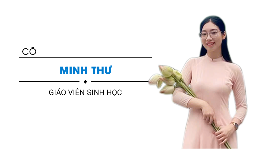 Minh Thư