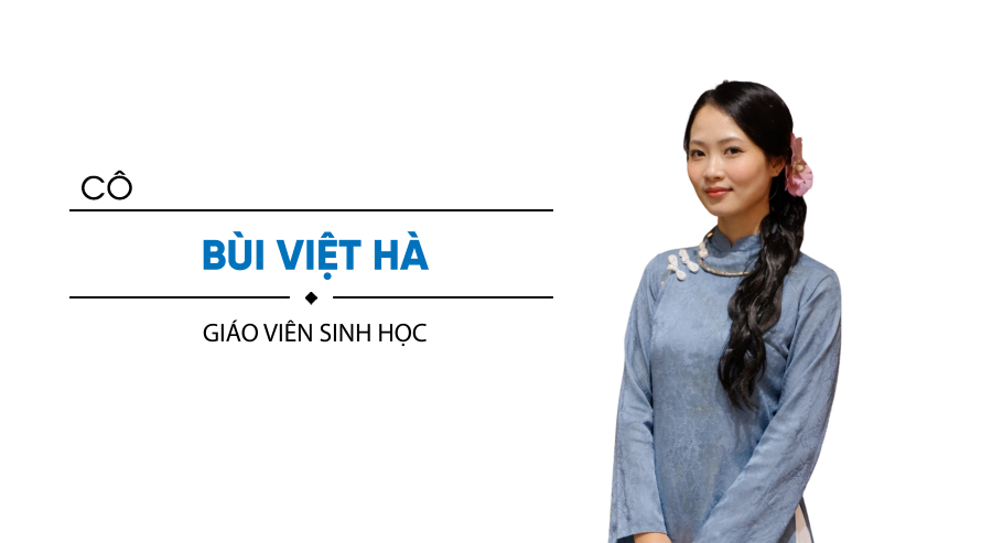 Bùi Việt Hà