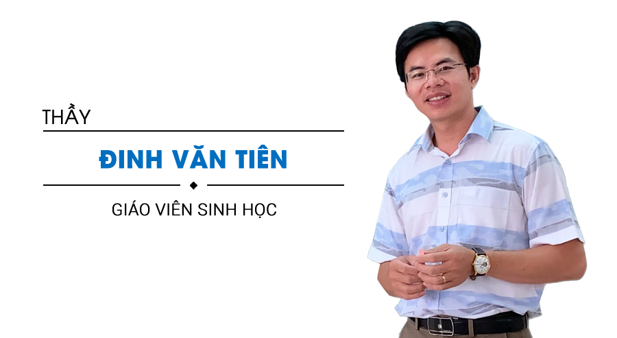 Đinh Văn Tiên