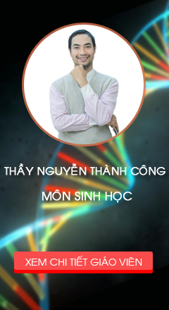 Thầy Nguyễn Thành Công